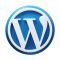 WordPress icon in 3D Fluency style